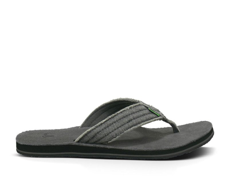 Tong Sanuk Fraid Not Homme - Grise Foncé MKOQCX362